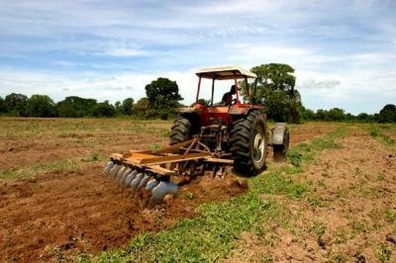 BENEFICIAN LLUVIAS AL CAMPO. 