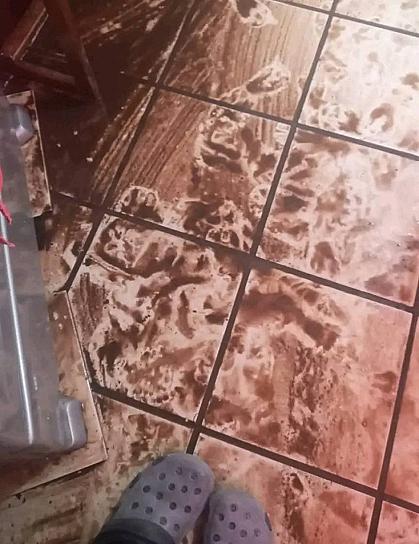 BRINDAN APOYO A FAMILIAS AFECTADAS POR LLUVIAS ATÍPICAS 