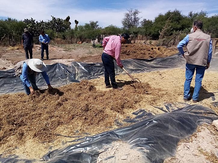 BUSCAN ALTERNATIVAS PARA MEJORAR EL CAMPO RIOGENSE 