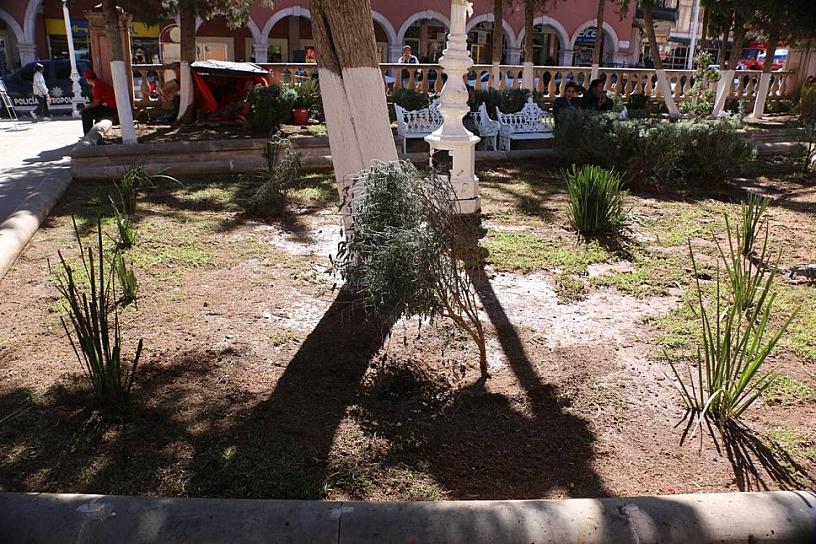 BUSCAN RETIRAR A UNA PERSONA EN CONDICIÓN DE CALLE DEL JARDÍN MADERO