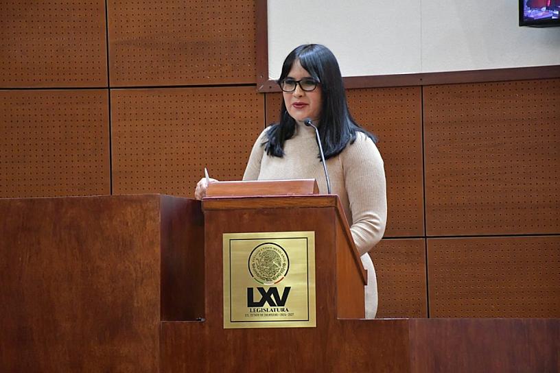 Busca Renata Ávila legislar contra la violencia digital generada por IA