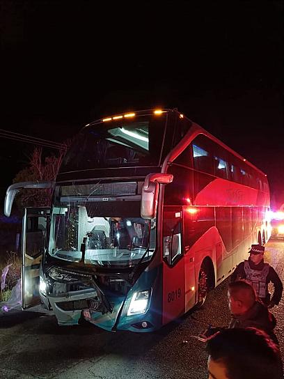 Caballo se le cruza a un autobús y provoca accidente en Sombrerete