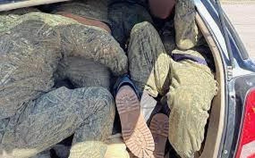 CARRO SARDINA LLEVABA 14 MIGRANTES; PATRULLA FRONTERIZA LO SORPRENDE