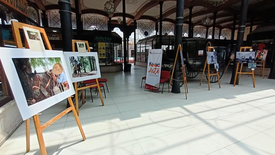 CELEBRA CECYTEZ SU FESTIVAL ESTATAL DE ARTE Y CULTURA 2023 EN LA CAPITAL