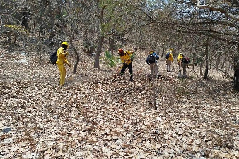 CERCA DE MIL BRIGADISTAS APAGAN 28 INCENDIOS FORESTALES EN GUERRERO
