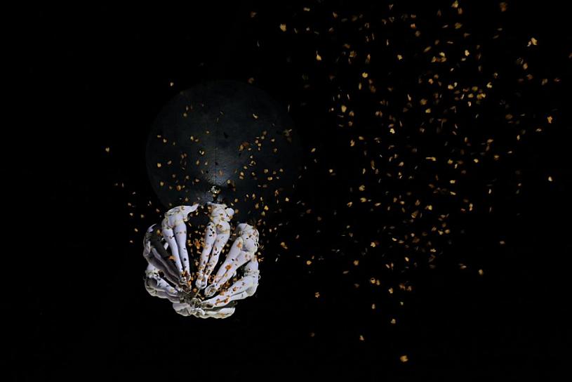 CIERRA CON BROCHE DE ORO LA EDICIÓN 20 DEL FITC 2023 