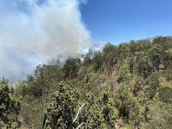 CLAMAN POR AYUDA PARA SOFOCAR INCENDIO EN SIERRA DE VALPARAÍSO