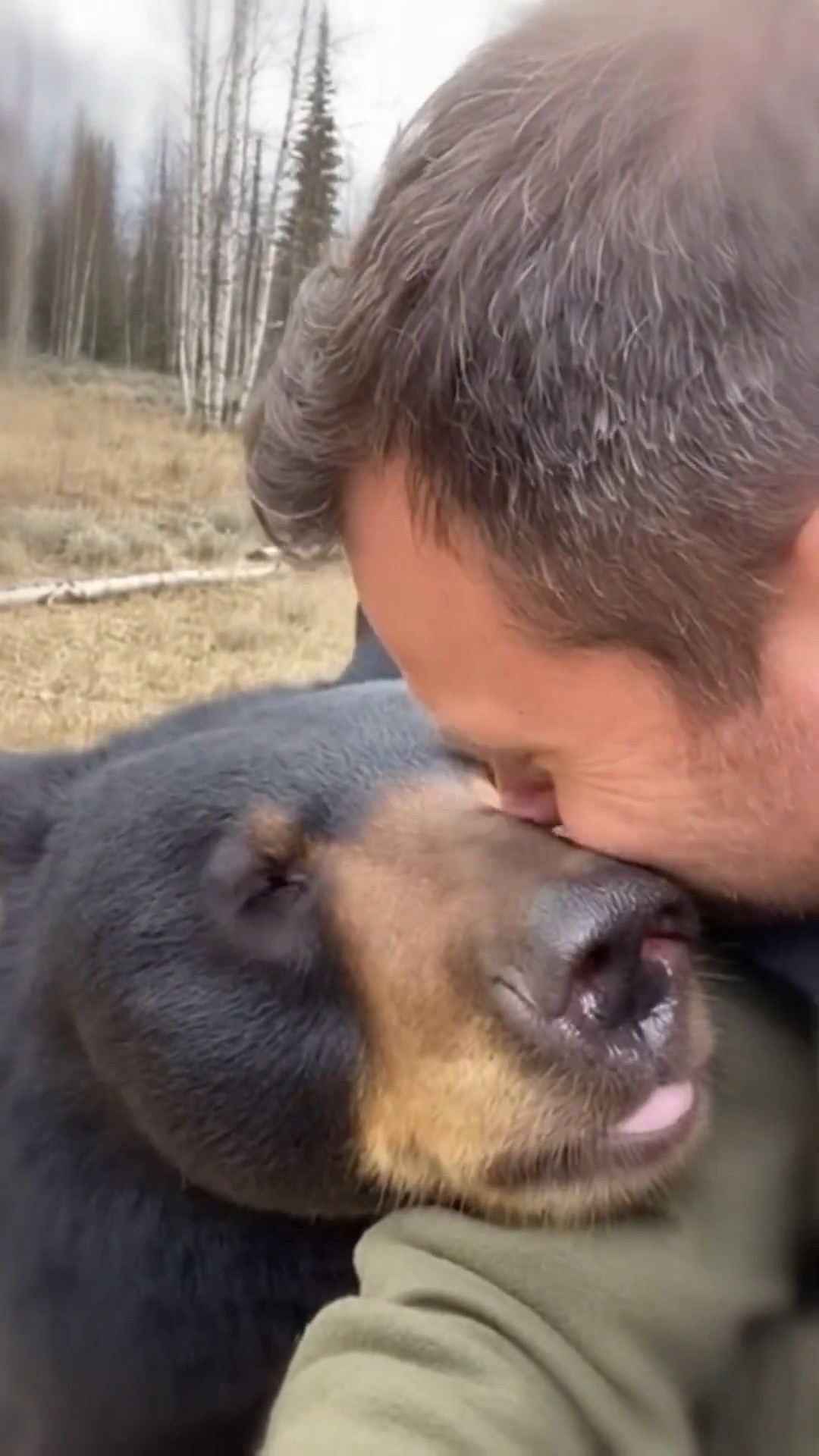 INTERACTÚA HOMBRE CON OSA NEGRA Y SUS CRÍAS EN UN VÍNCULO FORJADO POR LA CONSERVACIÓN