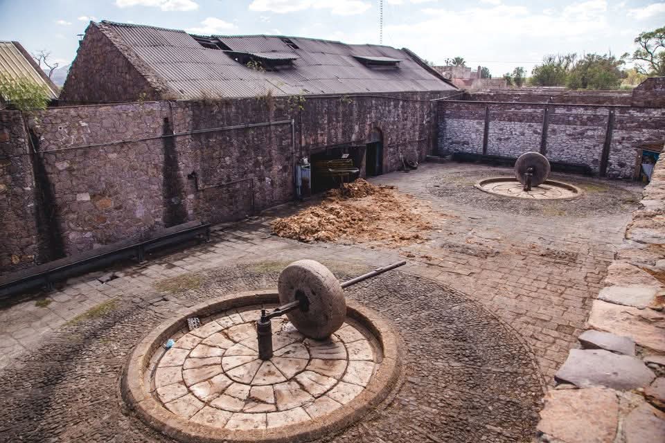 PINOS, UN VIAJE ENTRE HISTORIA, MEZCAL Y ARTESANÍA