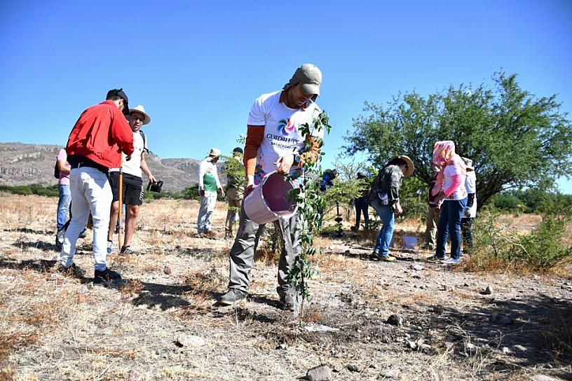 CONMEMORA JULIO CÉSAR CHÁVEZ DÍA MUNDIAL DEL MEDIO AMBIENTE CON FORESTACIÓN EN PARQUE CONSTITUYENTES
