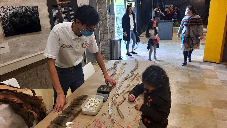 CONOCE, DISFRUTA Y APRENDE EN LA EXPOSICIÓN DE REPTILES