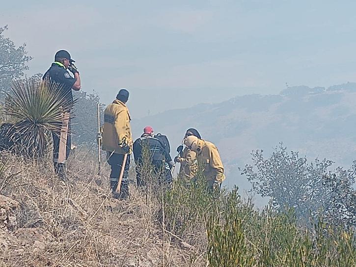 TRABAJAN CONAFOR Y PC EN SUPRESIÓN DE INCENDIO FORESTAL 