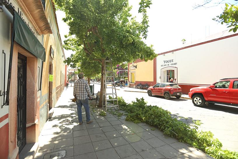 CONTINÚA MEJORA DE ESPACIOS PÚBLICO EN JEREZ 