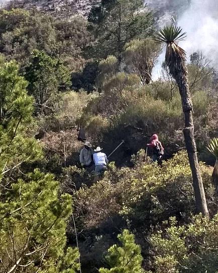CONTINÚAN LABORES PARA SOFOCAR EL INCENDIO EN LA SIERRA DE CONCEPCIÓN DEL ORO