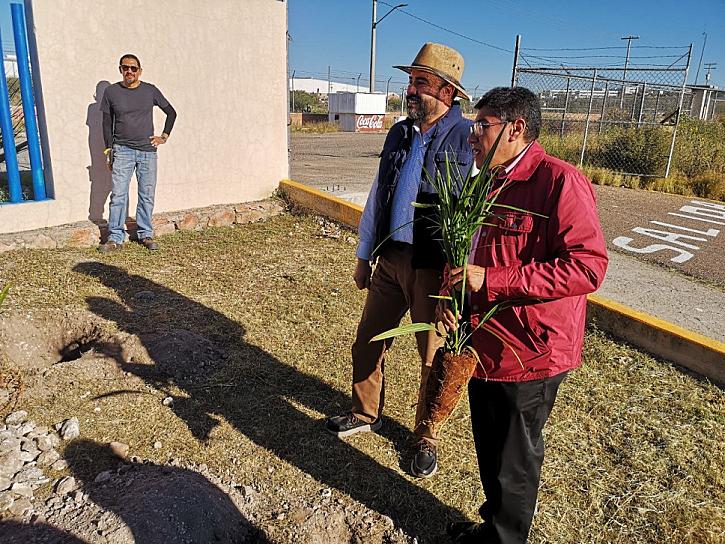 CONTINÚA PROGRAMA DE REFORESTACIÓN EN PLANTELES DE EL MINERAL