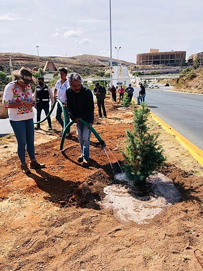 CONTINÚA SAMA CON REFORESTACIÓN DEL BULEVAR VETAGRANDE
