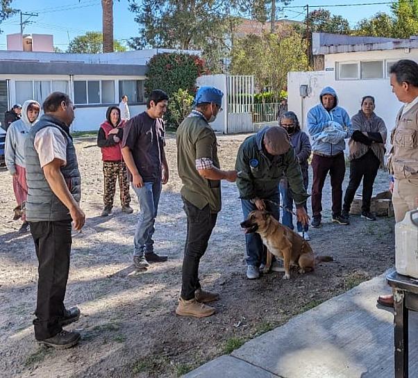 CONTINÚA SSZ CON ESTERILIZACIONES CANINAS Y FELINAS 