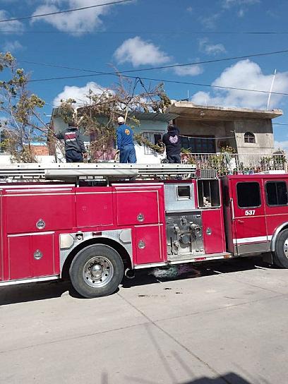 Contratarán voluntarios para reforzar Protección Civil y Bomberos en Fresnillo