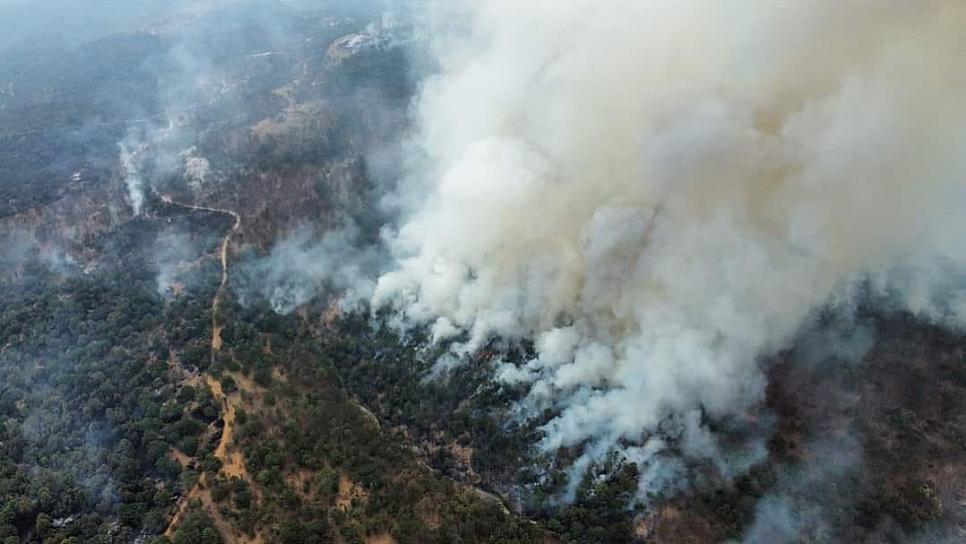 CONTROLAN INCENDIO EN INMEDIACIONES DE TEPECHITLAN CON NAYARIT, Y JALISCO