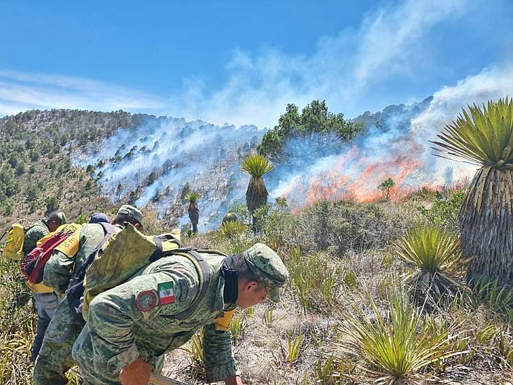 CONTROLAN INCENDIO EN SIERRA DE CONCEPCIÓN DEL ORO 