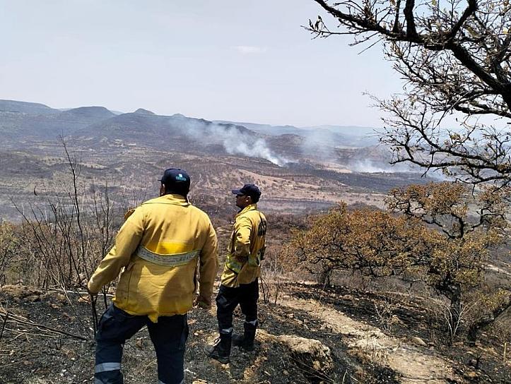 CONTROLAN INCENDIOS FORESTALES DE TEÚL DE GONZÁLEZ ORTEGA Y MONTE ESCOBEDO