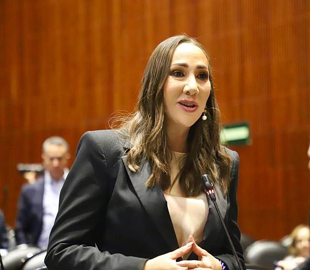 CONVOCA PAN A PARTICIPAR EN CONSULTA SOBRE ELECCIÓN DE JUECES