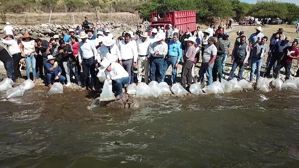 COSECHA DE AGUA DE PRESAS DE ZACATECAS GENERA BUENAS EXPECTATIVAS PARA EL CICLO AGRÍCOLA: DMA 