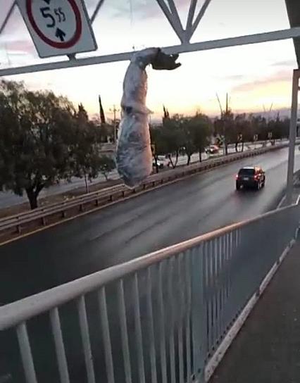 CUELGAN MUÑECOS EN PUENTE PEATONAL; ALERTAN A CORPORACIONES DE SEGURIDAD 