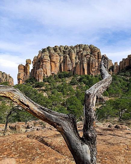 CUMPLE 22 AÑOS SIERRA DE ÓRGANOS COMO PARQUE NACIONAL