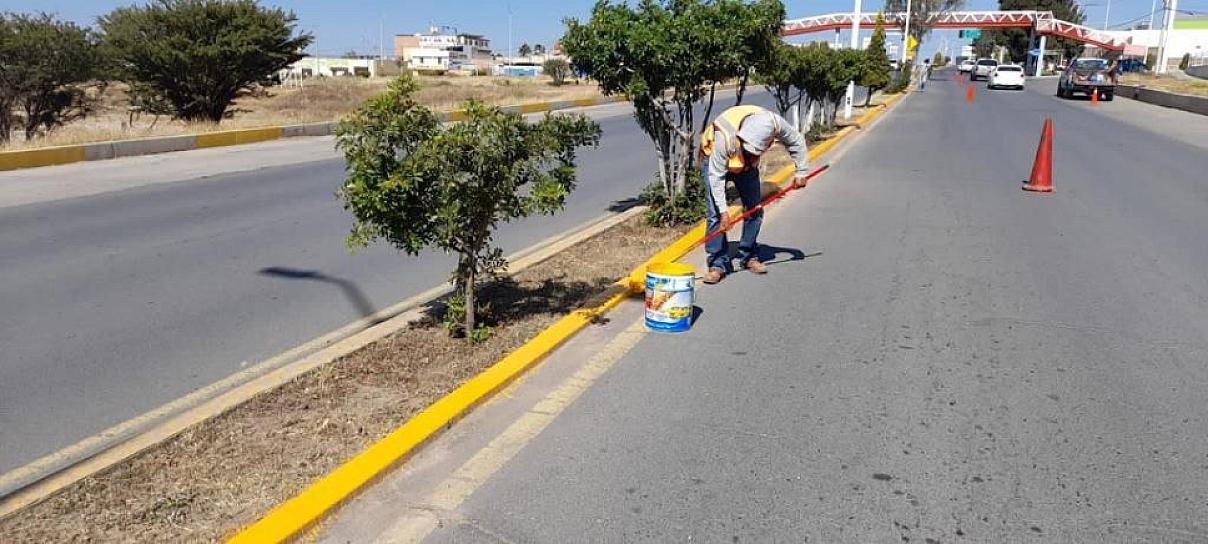 DAN MANITA DE GATO A LA PROLONGACIÓN SONORA