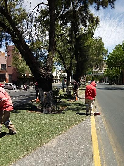 DAN MANTENIMIENTO AL BULEVAR METROPOLITANO 