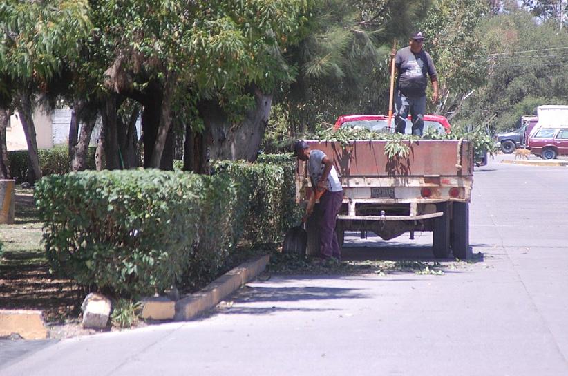 DAN MANTENIMIENTO A LOS PRINCIPALES ACCESOS A JEREZ 