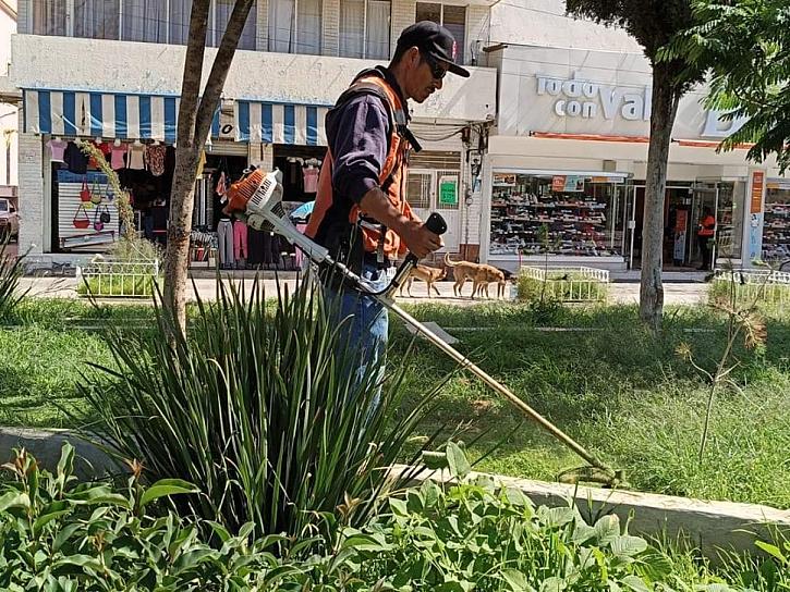 DAN MANTENIMIENTO A ÁREAS VERDES DE FRESNILLO