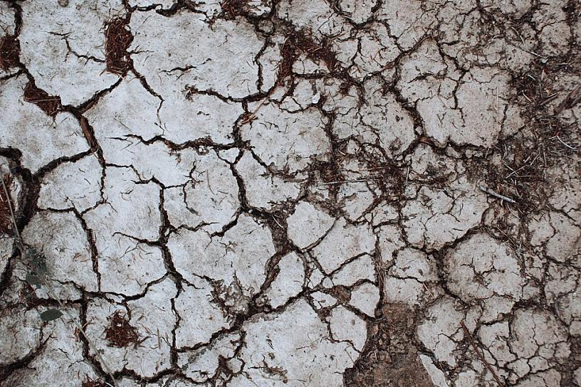 DECLARA CONAGUA INICIO DE EMERGENCIA POR SEQUÍA EN MÉXICO
