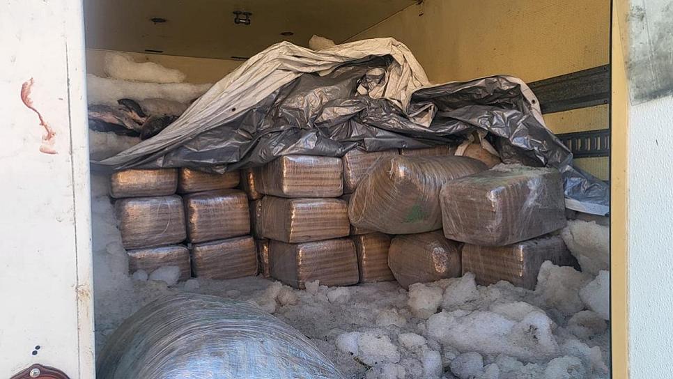 DECOMISAN MARIHUANA OCULTA EN CAMIÓN DE PESCADO