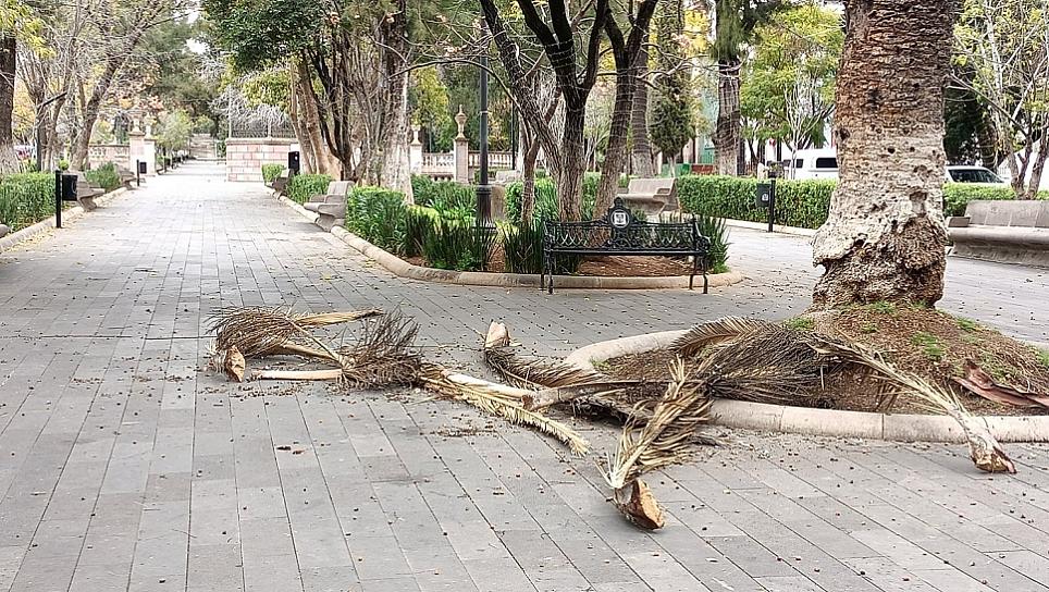 Dejan fuertes vientos afectaciones materiales en la capital 
