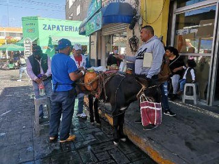 DESDE HACE 16 AÑOS NOÉ LLEVA A LOS FRESNILLENSES EL TRADICIONAL AGUAMIEL 