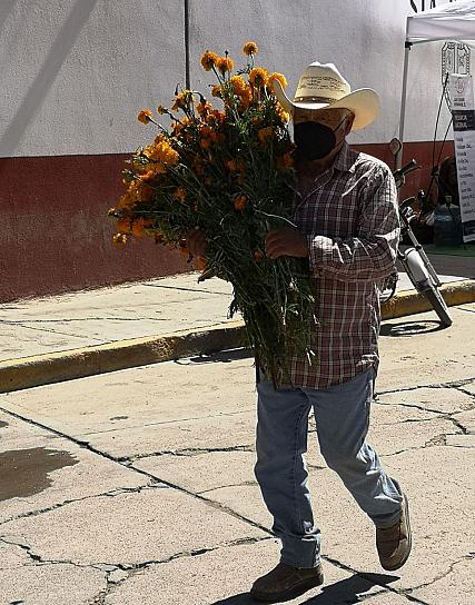 DESDE RÍO FLORIDO BUSCAN FLORES PARA LOS DIFUNTOS