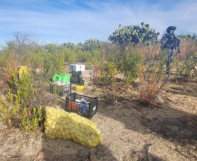Desmantelan 4 campamentos delincuenciales en Villanueva