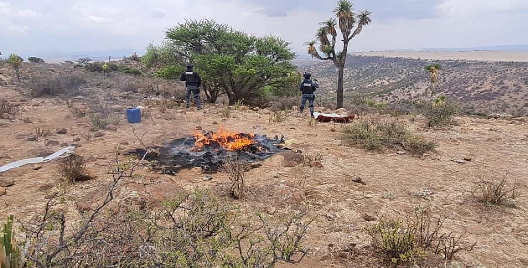 DESMANTELAN CAMPAMENTO DELINCUENCIAL EN MALPASO