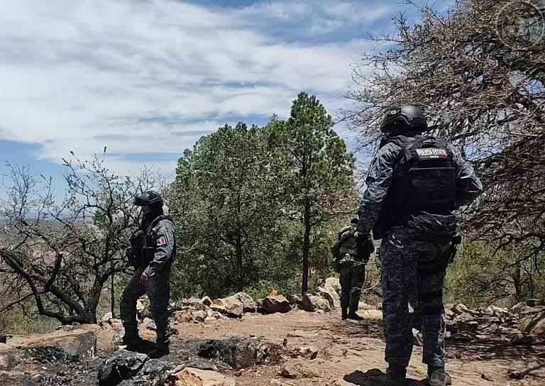 DESMANTELAN CAMPAMENTOS DE GRUPO DELINCUENCIAL EN SOMBRERETE