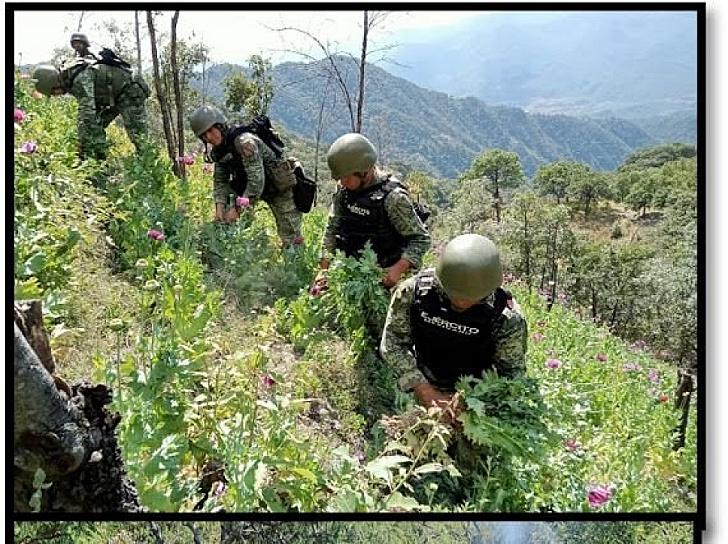 DESMANTELAN REDES CRIMINALES EN OPERATIVOS SIMULTÁNEOS EN TODO EL PAÍS