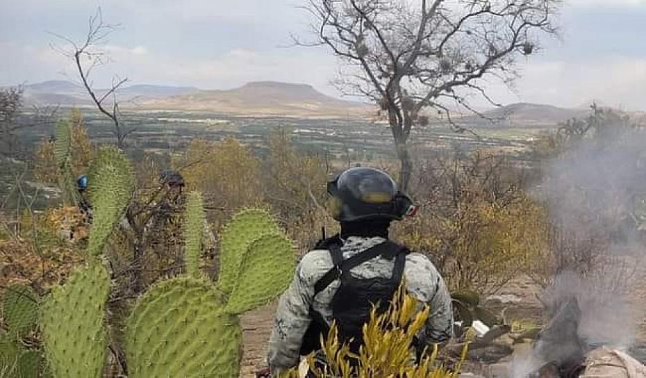 DESTRUYEN CAMPAMENTO CLANDESTINO EN SIERRA DE MONTE ESCOBEDO 