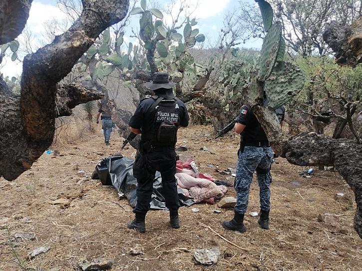 DESTRUYEN CAMPAMENTO DE LA DELINCUENCIA ORGANIZADA EN OJOCALIENTE 