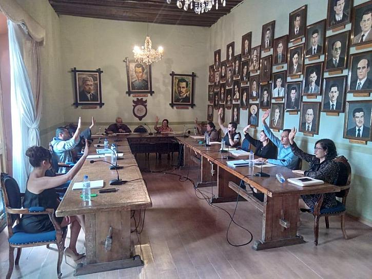 DICTAMINARÁN REGIDORES RETIRO DE ÁRBOLES SIN AUTORIZACIÓN