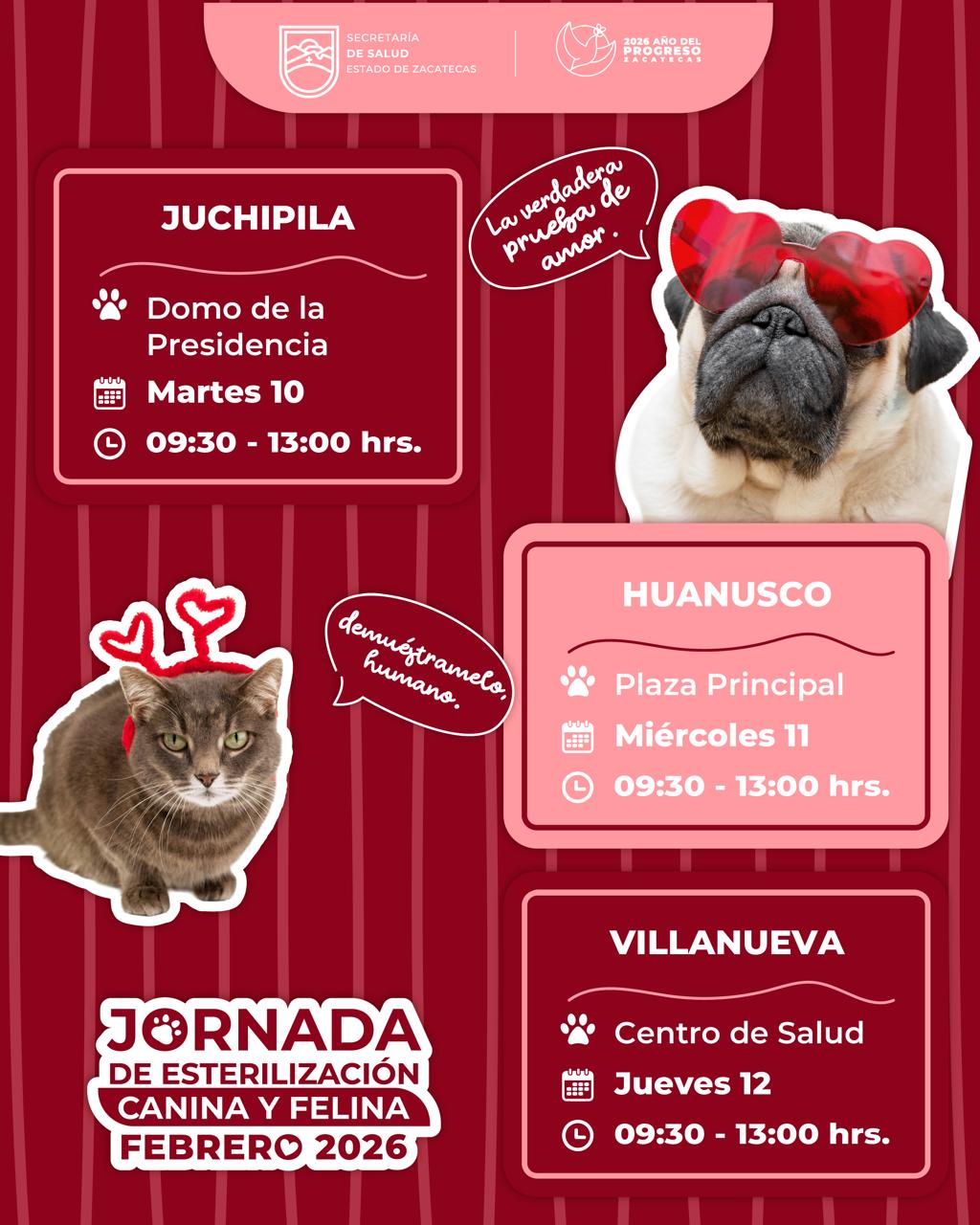 REALIZARÁ GOBIERNO DE ZACATECAS CIRUGÍAS DE ESTERILIZACIÓN CANINA Y FELINA EN JUCHIPILA, HUANUSCO Y VILLANUEVA