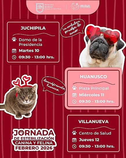 REALIZARÁ GOBIERNO DE ZACATECAS CIRUGÍAS DE ESTERILIZACIÓN CANINA Y FELINA EN JUCHIPILA, HUANUSCO Y VILLANUEVA