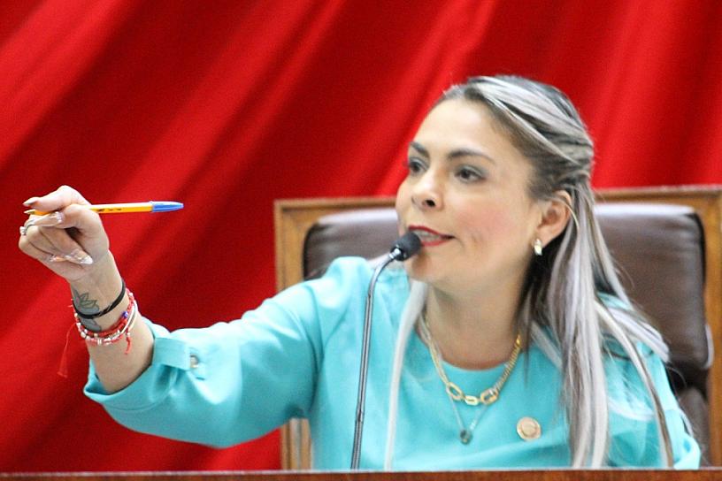 DISCUTEN DIPUTADOS POR MANEJO DE PROGRAMA SOCIALES EN LO ELECTORAL