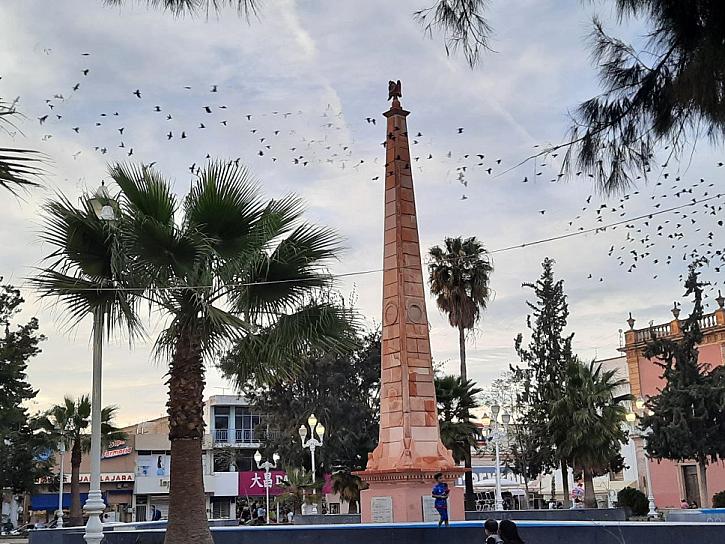 DISFRUTAN FRESNILLENSES DEL JARDÍN OBELISCO
