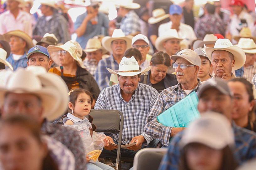 DISPONDRÁ ZACATECAS DE MÁS DE 20 MDP PARA SEMILLA DE AVENA SUBSIDIADA A PRODUCTORES AGRÍCOLAS&nbsp; 